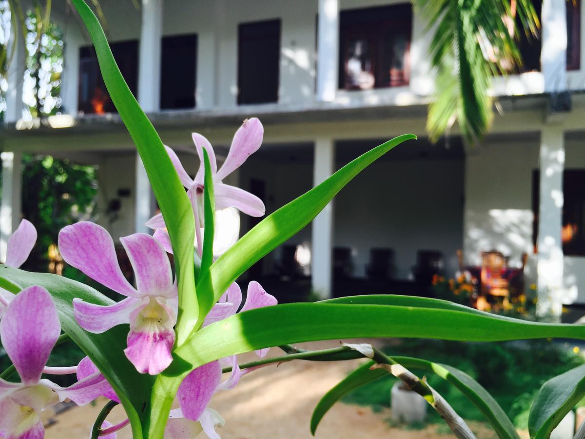 Sigiri Rainbow Lodge Sigiriya Eksteriør bilde