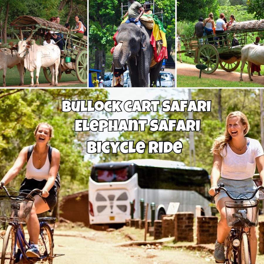 Sigiri Rainbow Lodge Sigiriya Eksteriør bilde