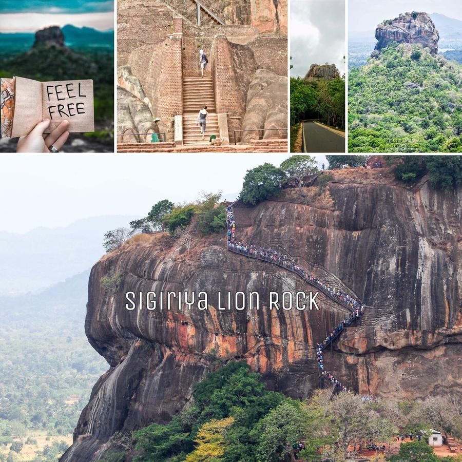 Sigiri Rainbow Lodge Sigiriya Eksteriør bilde