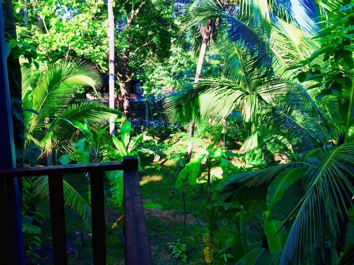 Sigiri Rainbow Lodge Sigiriya Eksteriør bilde