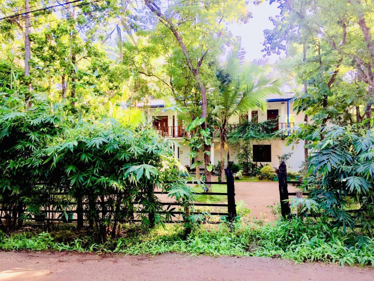 Sigiri Rainbow Lodge Sigiriya Eksteriør bilde